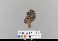 中國北京皮影藏品圖，第1張